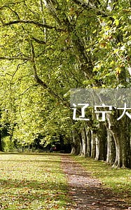 辽宁大连债务执行律师