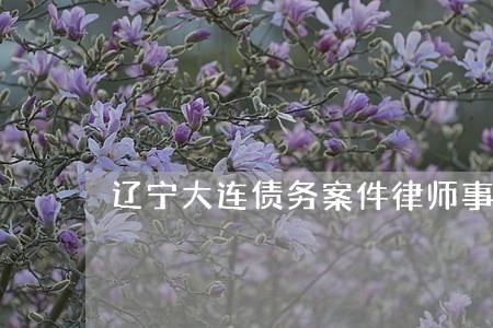 辽宁大连债务案件律师事务所 辽宁大连债务案件律师事务所