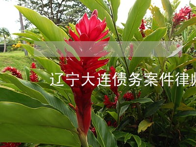 辽宁大连债务案件律师免费咨询 辽宁大连债务案件律师免费咨询