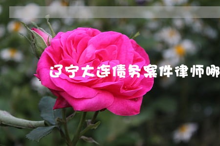 辽宁大连债务案件律师哪个好 辽宁大连债务案件律师哪个好