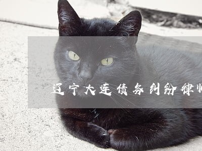 辽宁大连债务纠纷律师免费咨询 辽宁大连债务纠纷律师免费咨询