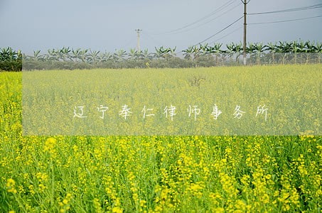 辽宁奉仁律师事务所 辽宁奉仁律师事务所