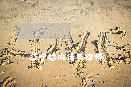 辽宁婚内债务律师 辽宁婚内债务律师