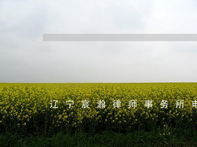 辽宁宸瀚律师事务所电话 辽宁宸瀚律师事务所电话