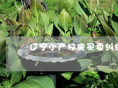 辽宁小产权房买卖纠纷该如何诉讼 辽宁小产权房买卖纠纷该如何诉讼