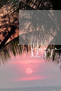 辽宁广嘉律师事务所怎么样 辽宁广嘉律师事务所怎么样