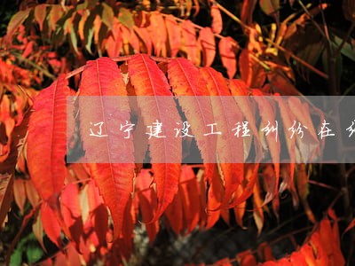 辽宁建设工程纠纷在线律师 辽宁建设工程纠纷在线律师