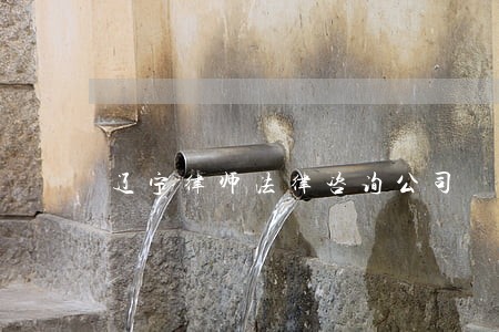 辽宁律师法律咨询公司 辽宁律师法律咨询公司