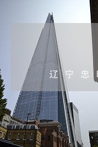 辽宁忠旺集团贷款逾期 辽宁忠旺集团贷款逾期