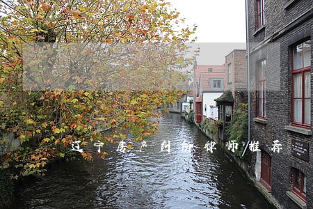 辽宁房产纠纷律师推荐 辽宁房产纠纷律师推荐
