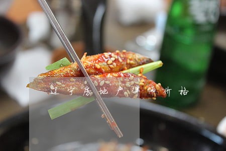 辽宁房地产律师价格