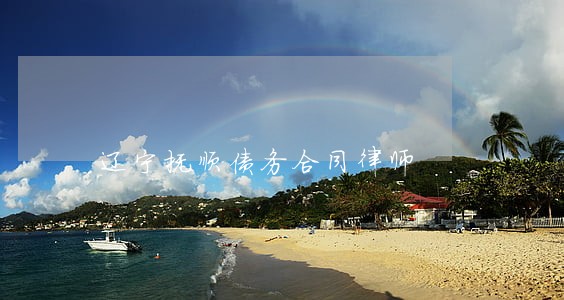 辽宁抚顺债务合同律师 辽宁抚顺债务合同律师