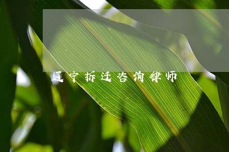 辽宁拆迁咨询律师 辽宁拆迁咨询律师