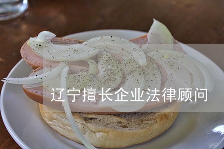 辽宁擅长企业法律顾问 辽宁擅长企业法律顾问