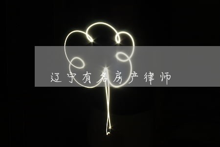 辽宁有名房产律师 辽宁有名房产律师