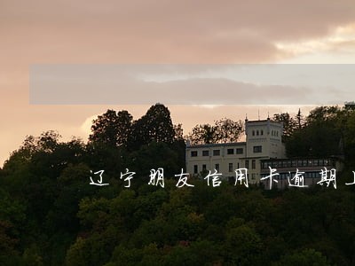 辽宁朋友信用卡逾期上岸