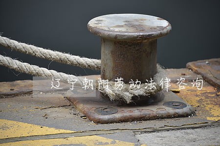 辽宁朝阳劳动法律咨询 辽宁朝阳劳动法律咨询
