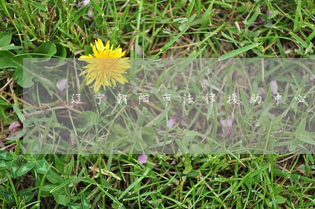 辽宁朝阳市法律援助中心 辽宁朝阳市法律援助中心