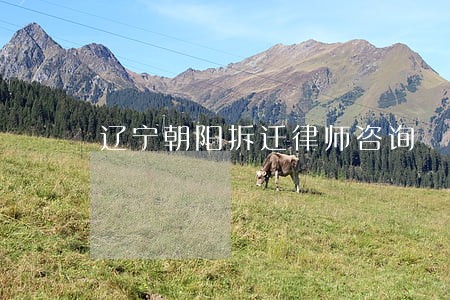 辽宁朝阳拆迁律师咨询 辽宁朝阳拆迁律师咨询