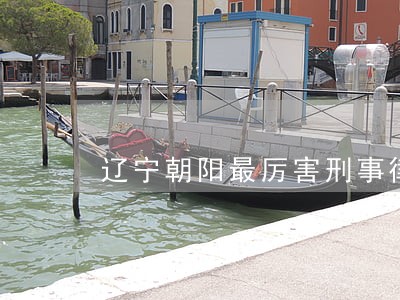 辽宁朝阳最厉害刑事律师