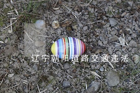 辽宁朝阳道路交通违法