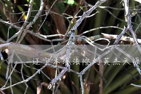 辽宁本溪法院刘英杰天涯论坛