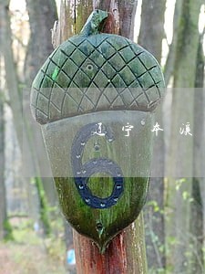 辽宁本溪首富排名榜 辽宁本溪首富排名榜