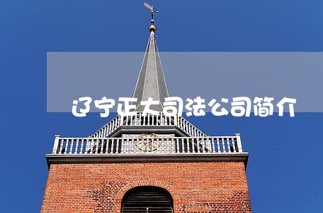 辽宁正大司法公司简介 辽宁正大司法公司简介
