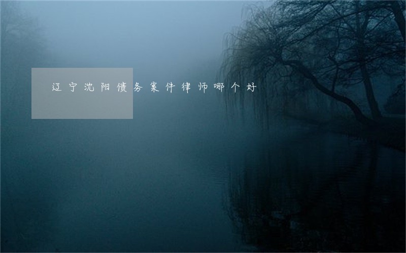 辽宁沈阳债务案件律师哪个好 辽宁沈阳债务案件律师哪个好