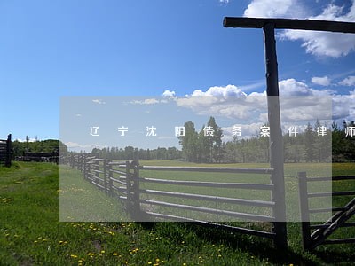 辽宁沈阳债务案件律师怎么收费 辽宁沈阳债务案件律师怎么收费