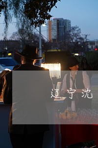辽宁沈阳债务案件律师排名 辽宁沈阳债务案件律师排名
