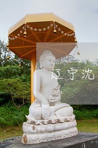 辽宁沈阳债务案件律师选哪个 辽宁沈阳债务案件律师选哪个