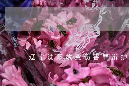 辽宁沈阳故意伤害罪辩护律师电话 辽宁沈阳故意伤害罪辩护律师电话