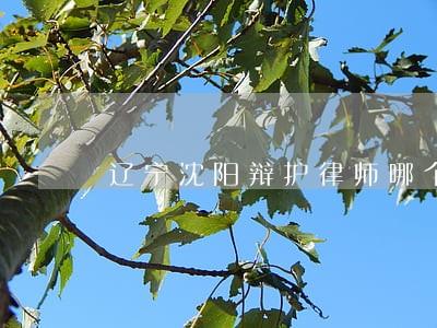 辽宁沈阳辩护律师哪个好 辽宁沈阳辩护律师哪个好