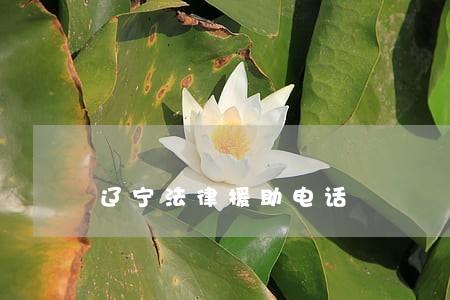 辽宁法律援助电话 辽宁法律援助电话