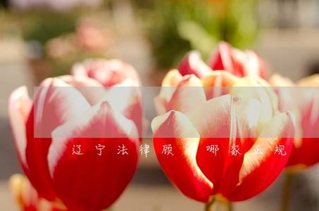 辽宁法律顾问哪家正规 辽宁法律顾问哪家正规