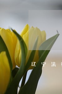 辽宁法律顾问收费标准 辽宁法律顾问收费标准