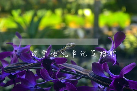辽宁法院书记员招聘 辽宁法院书记员招聘