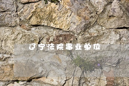 辽宁法院事业单位 辽宁法院事业单位