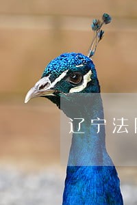 辽宁法院复工时间