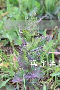 辽宁法院巡视组电话是多少