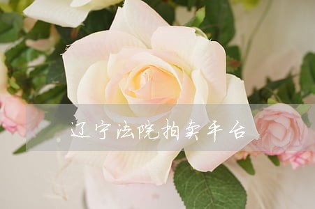 辽宁法院拍卖平台