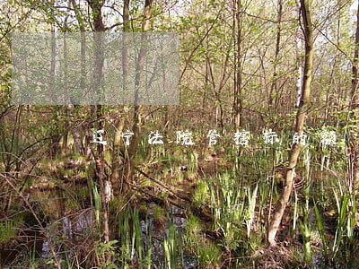 辽宁法院管辖标的额 辽宁法院管辖标的额