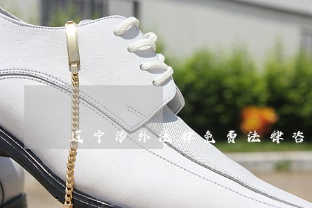辽宁涉外法律免费法律咨询