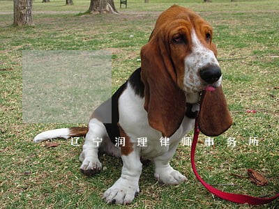 辽宁润理律师事务所 辽宁润理律师事务所