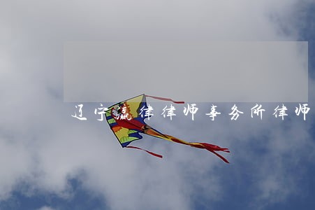 辽宁瀛律律师事务所律师 辽宁瀛律律师事务所律师