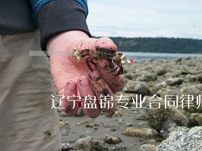辽宁盘锦专业合同律师 辽宁盘锦专业合同律师