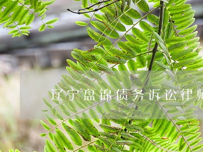 辽宁盘锦债务诉讼律师团队 辽宁盘锦债务诉讼律师团队
