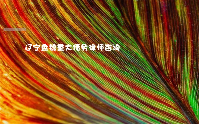 辽宁盘锦重大债务律师咨询