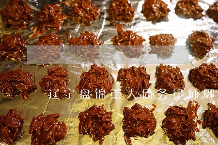 辽宁盘锦重大债务律师哪个好 辽宁盘锦重大债务律师哪个好